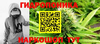 мяу мяу мука Кимры