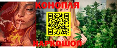 ПСИЛОЦИБИНОВЫЕ ГРИБЫ Кингисепп