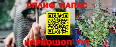 СК Кинель